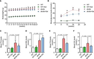 Long-Term Oral Administration of Salidroside Alleviates Diabetic Retinopathy in db/db Mice